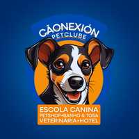 Logo Cãonexión Pet Clube