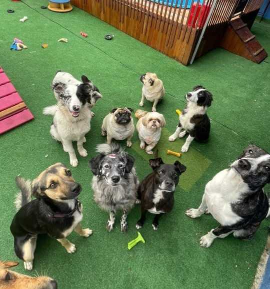 Services Landing Image