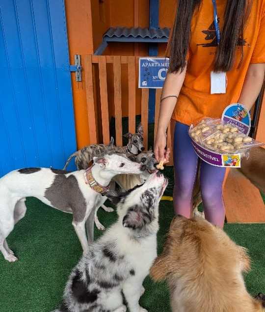 Services Landing Image